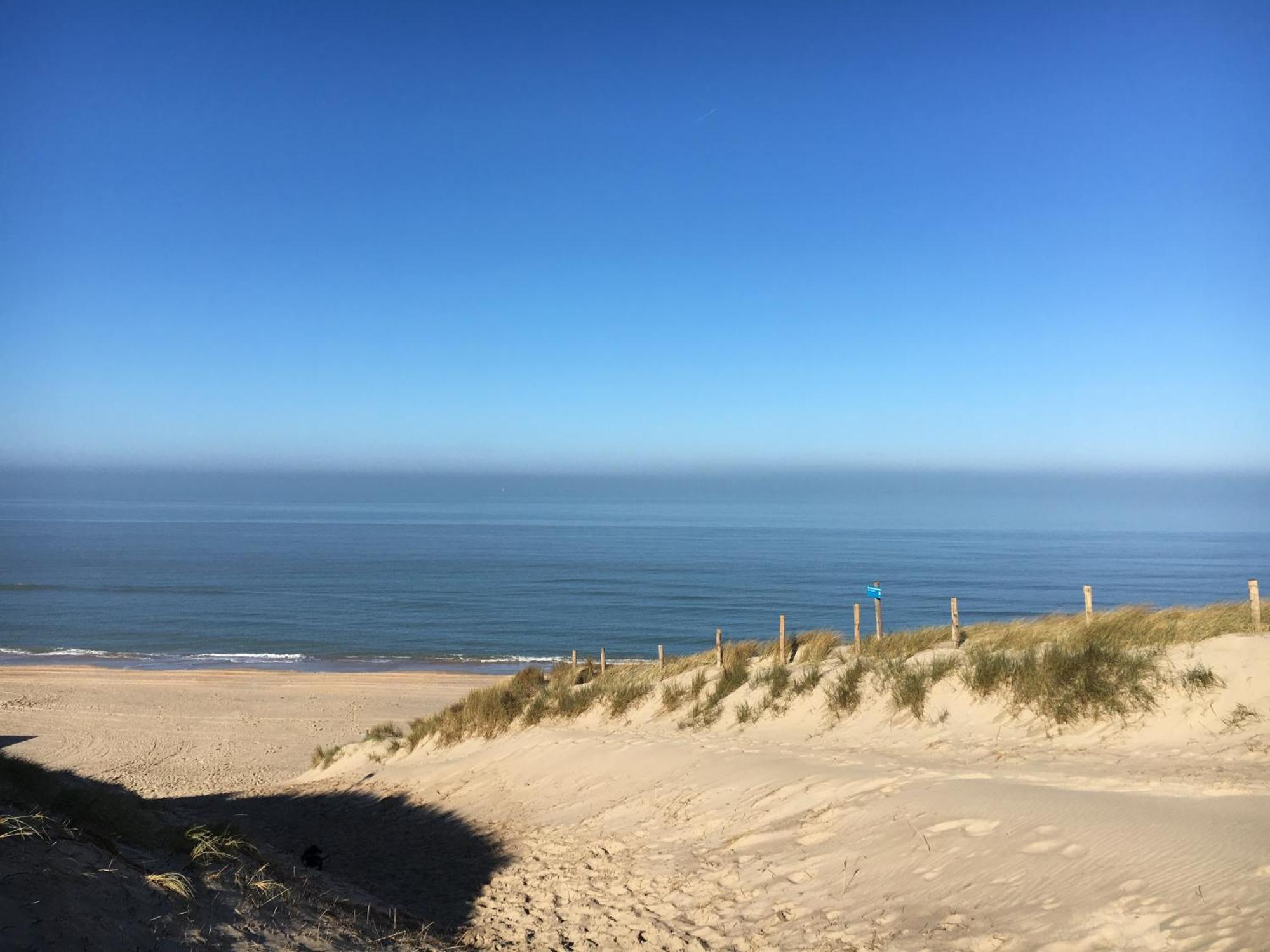 Eco Lodge Duin- Unieke Locatie -Strand, Duin En Nabij Cultuursteden Castricum Zewnętrze zdjęcie
