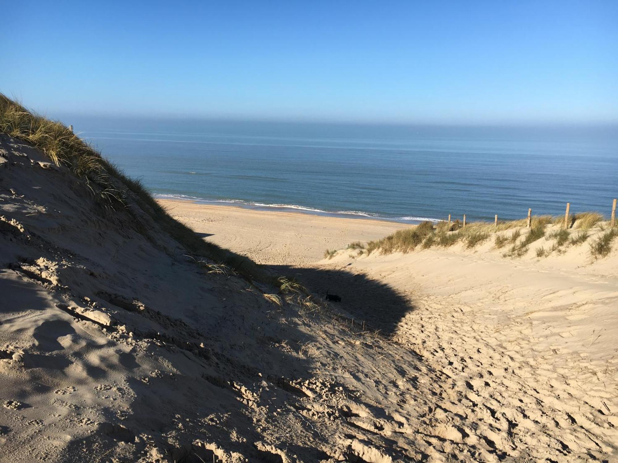 Eco Lodge Duin- Unieke Locatie -Strand, Duin En Nabij Cultuursteden Castricum Zewnętrze zdjęcie