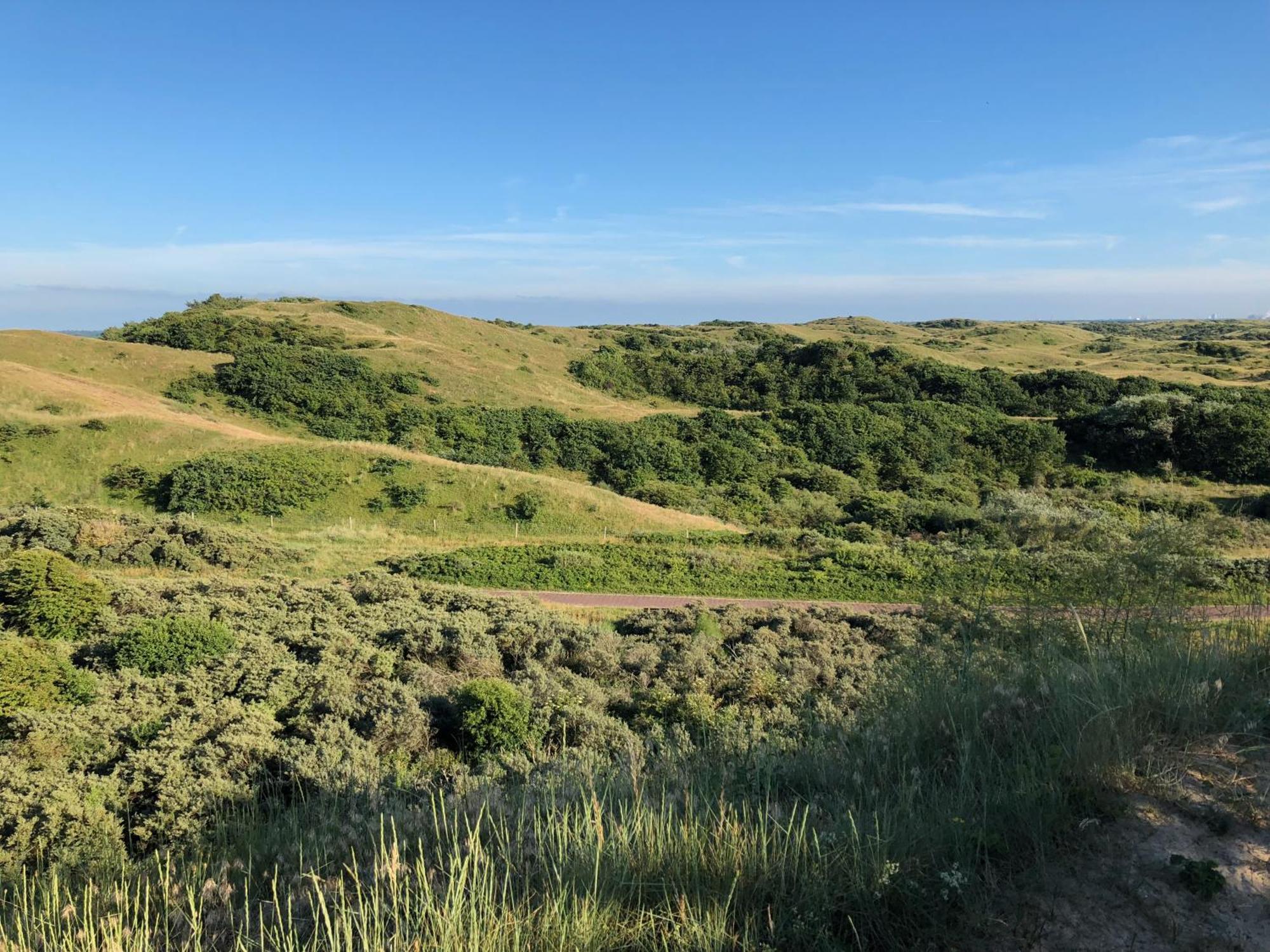 Eco Lodge Duin- Unieke Locatie -Strand, Duin En Nabij Cultuursteden Castricum Zewnętrze zdjęcie