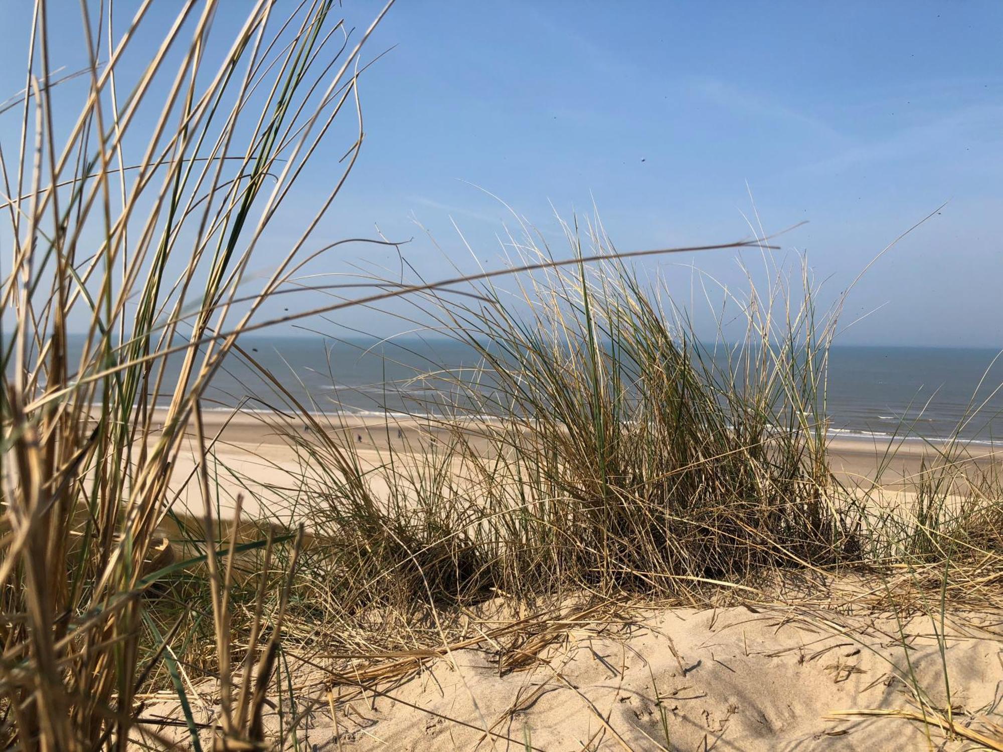 Eco Lodge Duin- Unieke Locatie -Strand, Duin En Nabij Cultuursteden Castricum Zewnętrze zdjęcie